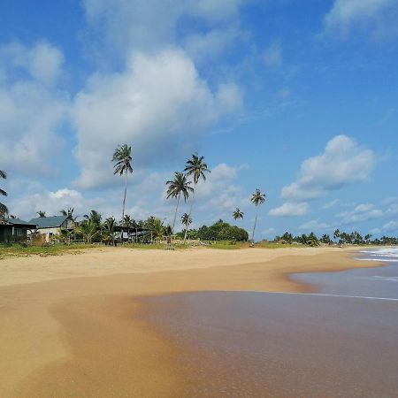 Afro Beach Eco Resort Butre 外观 照片