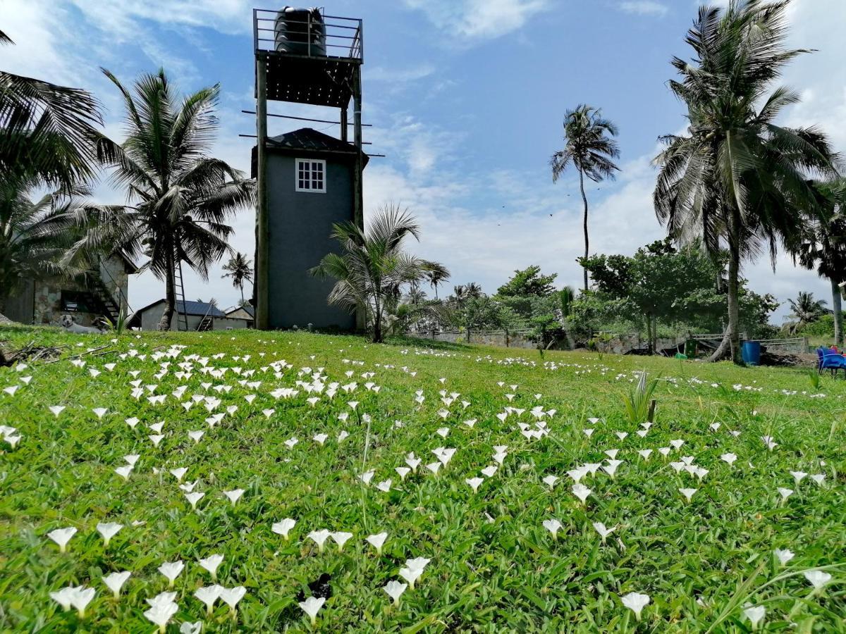Afro Beach Eco Resort Butre 外观 照片