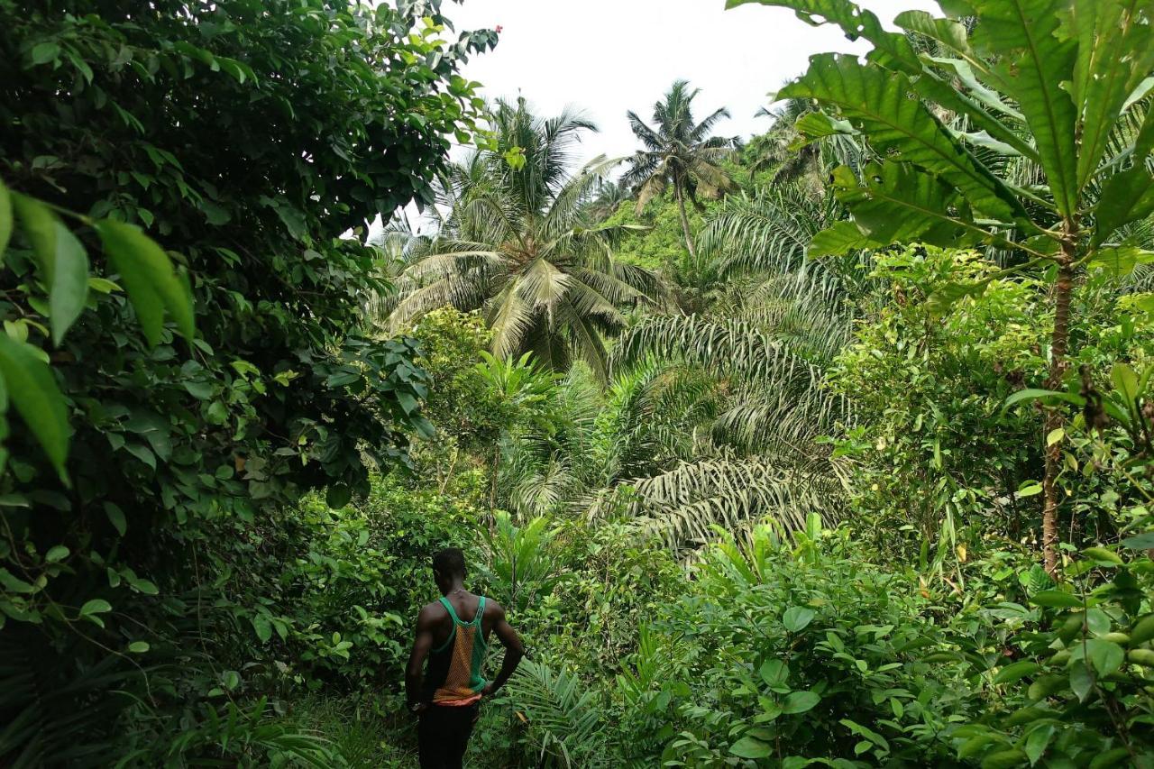 Afro Beach Eco Resort Butre 外观 照片