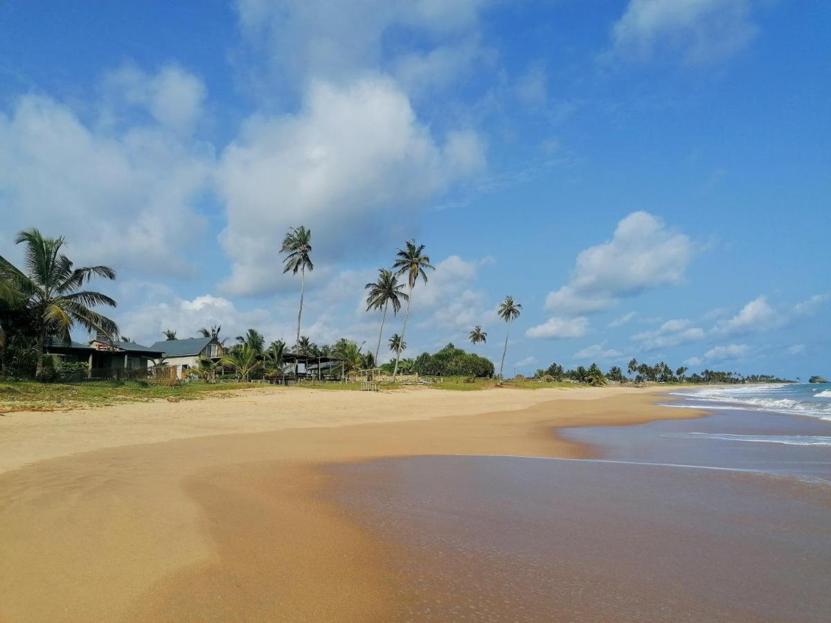 Afro Beach Eco Resort Butre 外观 照片