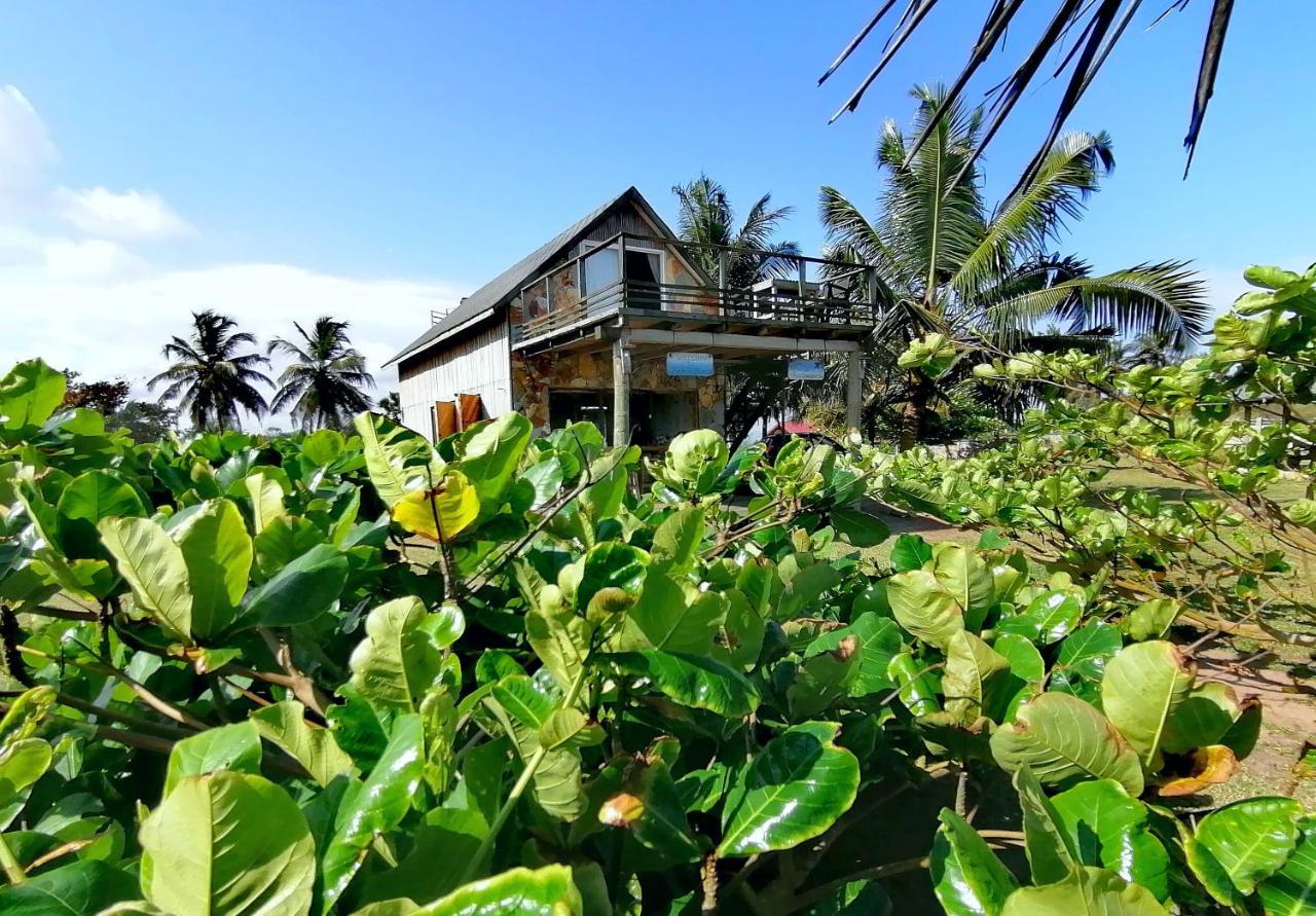 Afro Beach Eco Resort Butre 外观 照片