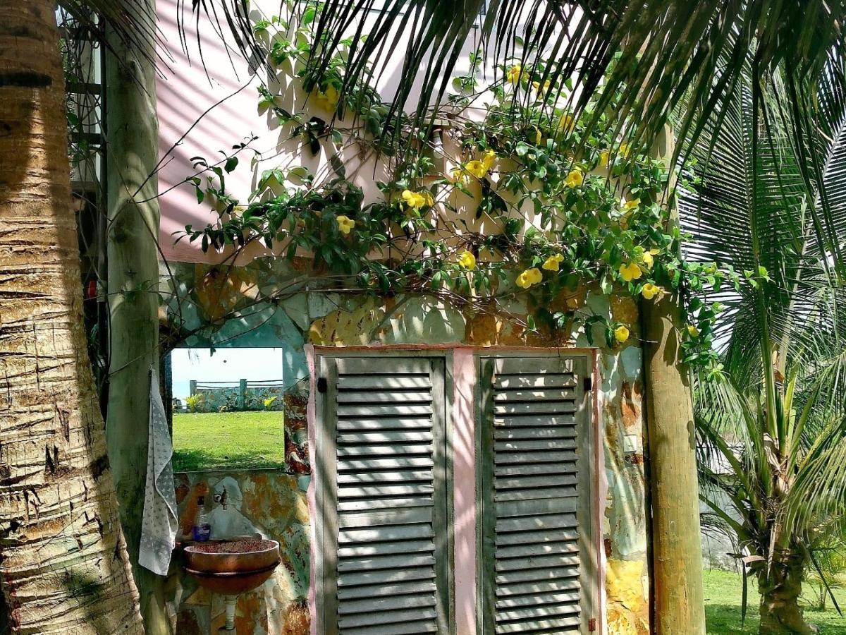 Afro Beach Eco Resort Butre 外观 照片