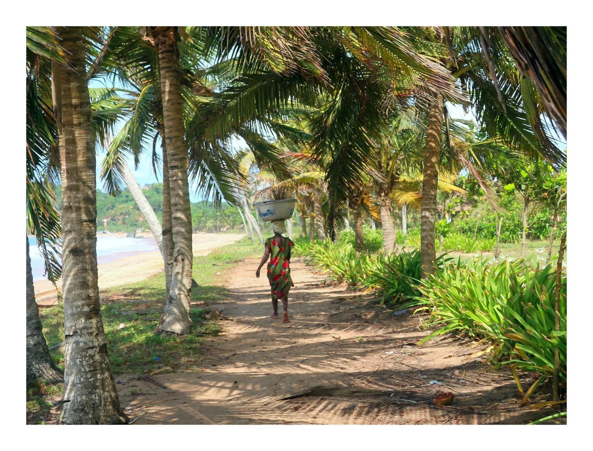 Afro Beach Eco Resort Butre 外观 照片