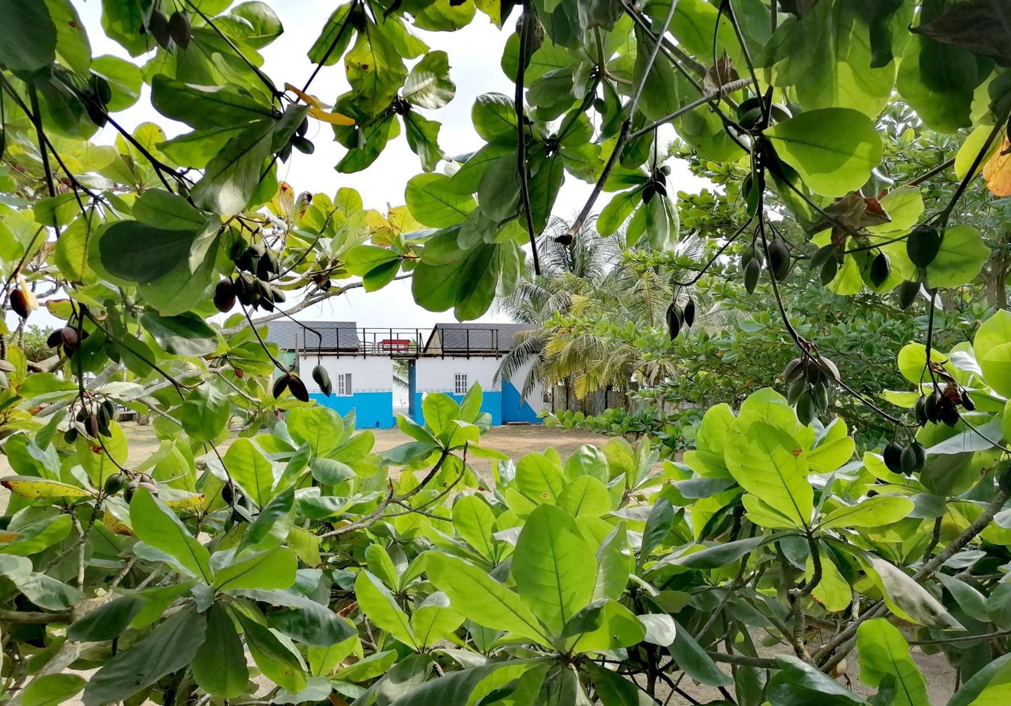 Afro Beach Eco Resort Butre 客房 照片