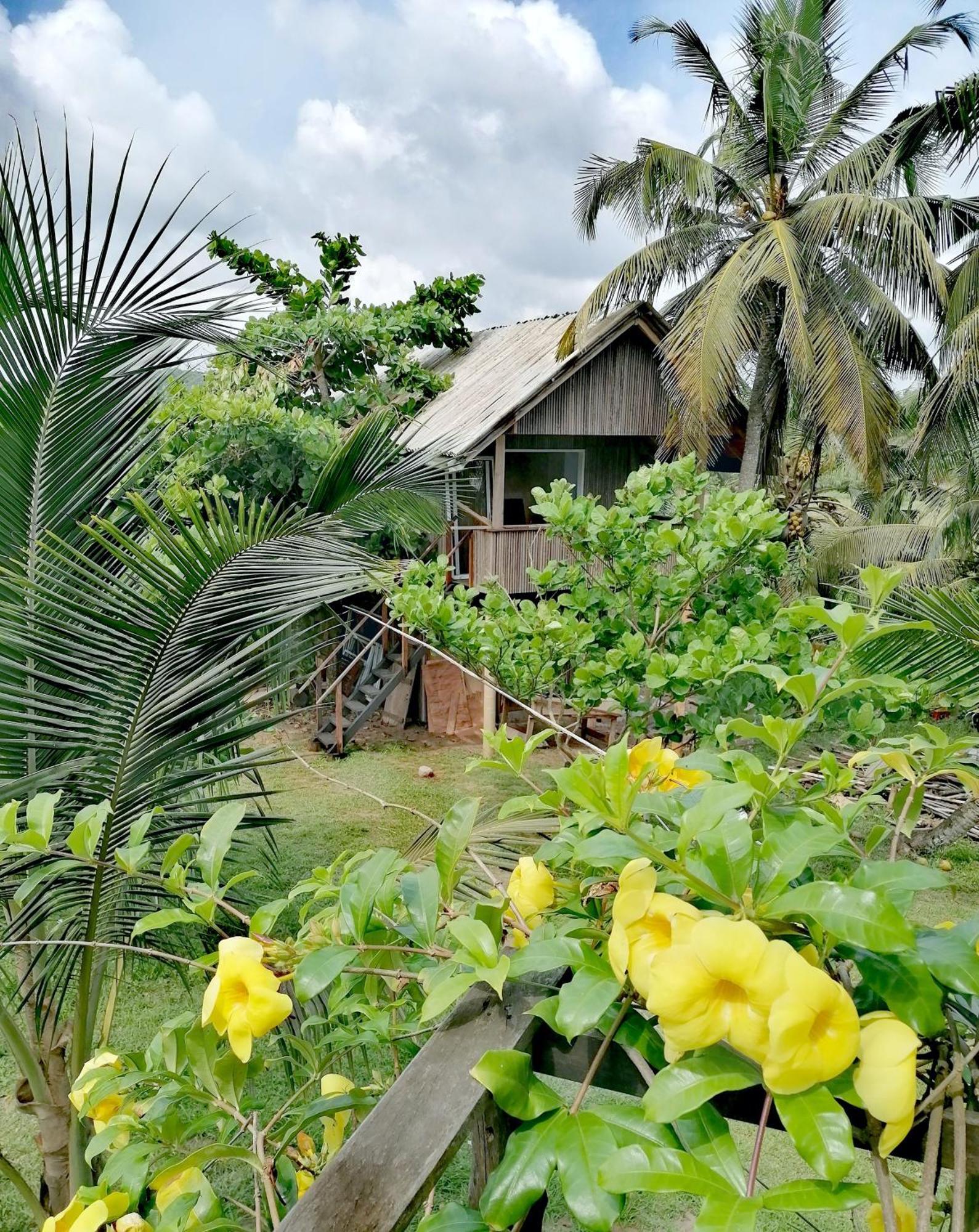 Afro Beach Eco Resort Butre 客房 照片