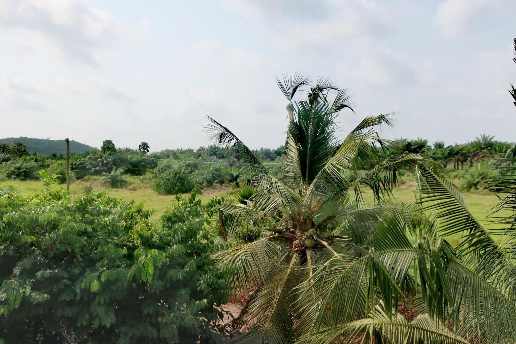 Afro Beach Eco Resort Butre 客房 照片