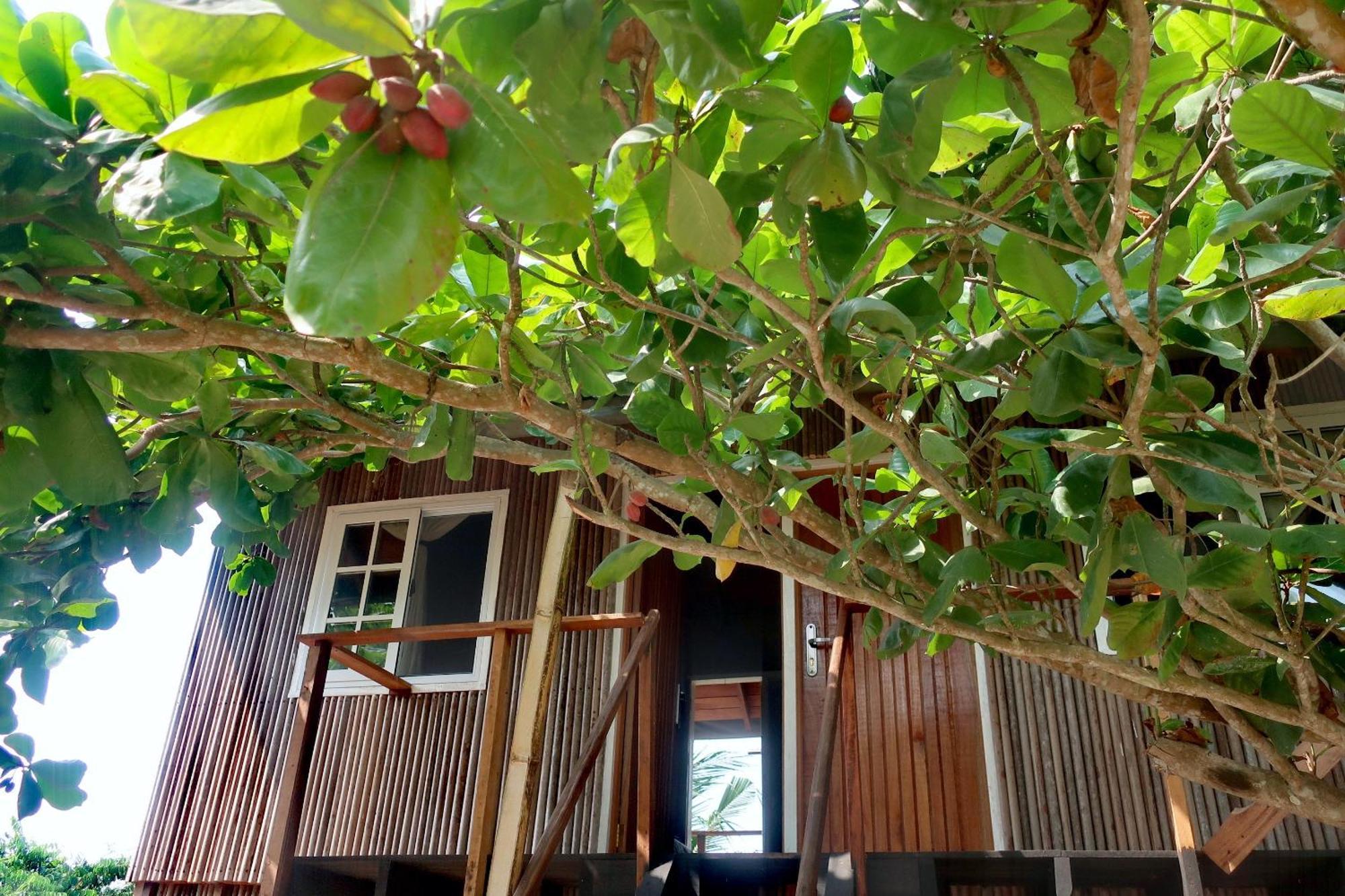 Afro Beach Eco Resort Butre 客房 照片