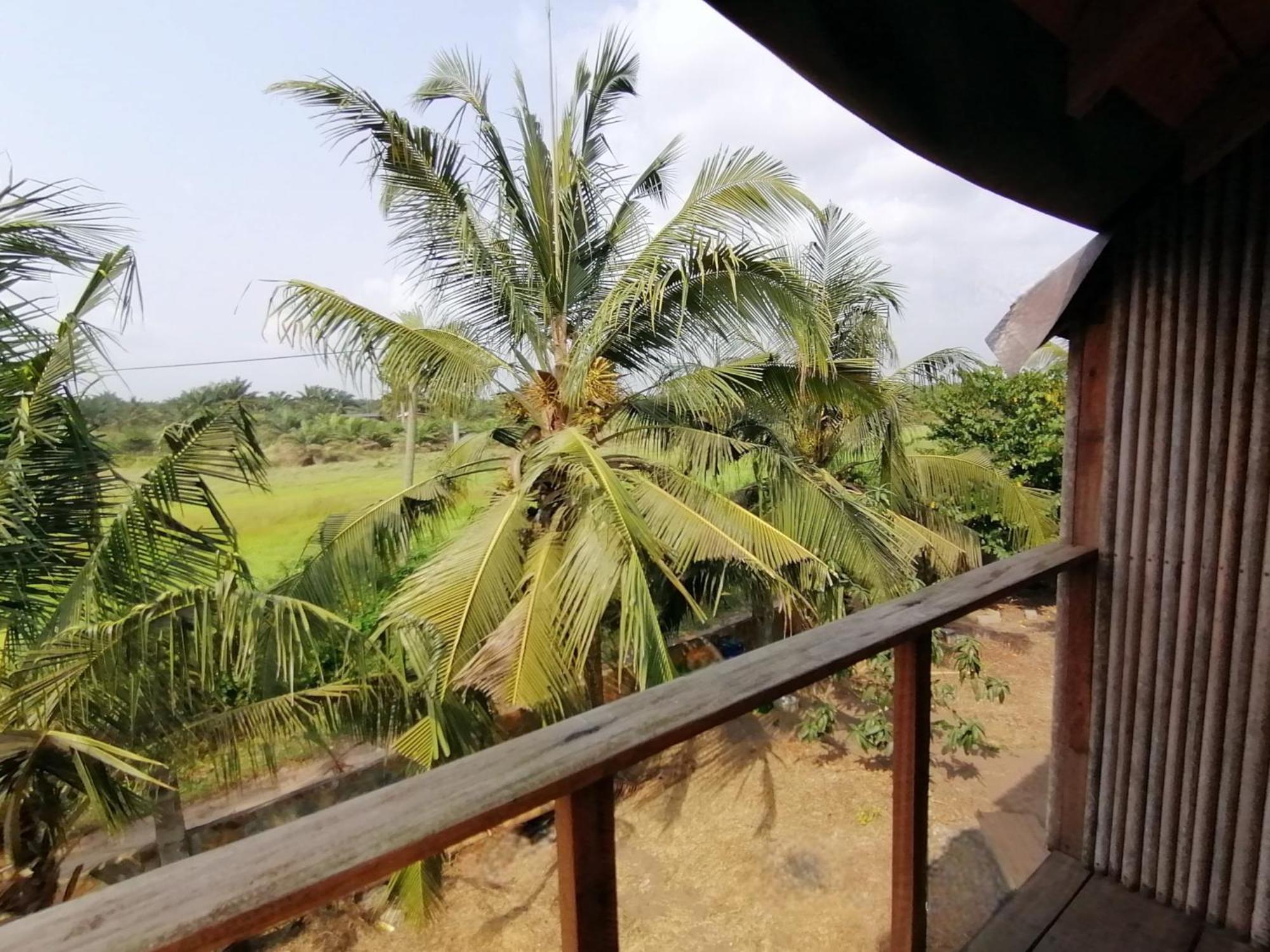 Afro Beach Eco Resort Butre 客房 照片